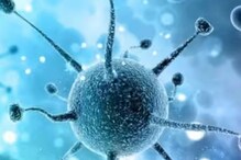 Nipah Virus | കോഴിക്കോട് കൂടുതല്‍ കണ്ടെയിന്‍മെന്റ് സോണുകള്‍ പ്രഖ്യാപിച്ചു