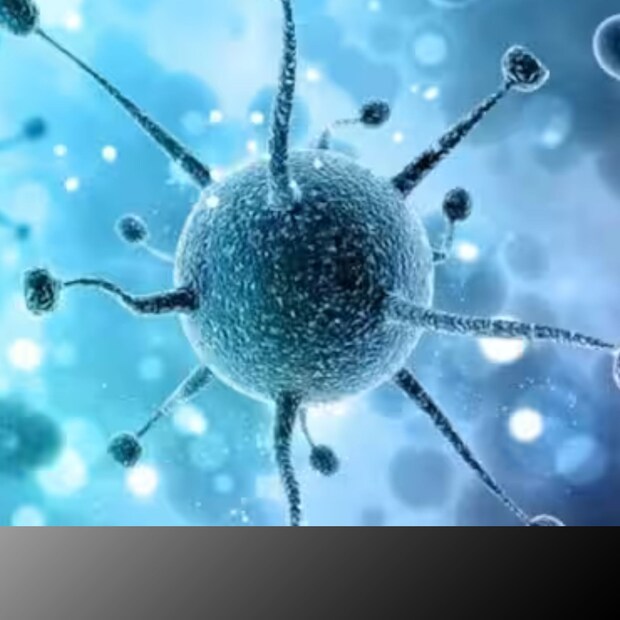 nipah_Virus