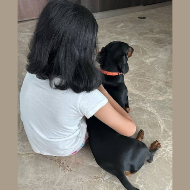  വീട്ടിൽ അല്ലിക്ക് കൂട്ടായി ഒരു വളർത്തുനായ കൂടിയുണ്ട്. സൊറോ എന്നാണ് അവന്റെ പേര്. ഇടയ്ക്കിടെ മകളുടെ മുഖം വ്യക്തമാക്കാതെ ചില ചിത്രങ്ങൾ സുപ്രിയ ഇതുപോലെ പോസ്റ്റ് ചെയ്യാറുണ്ട്