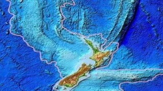 Image: @543In5official/X