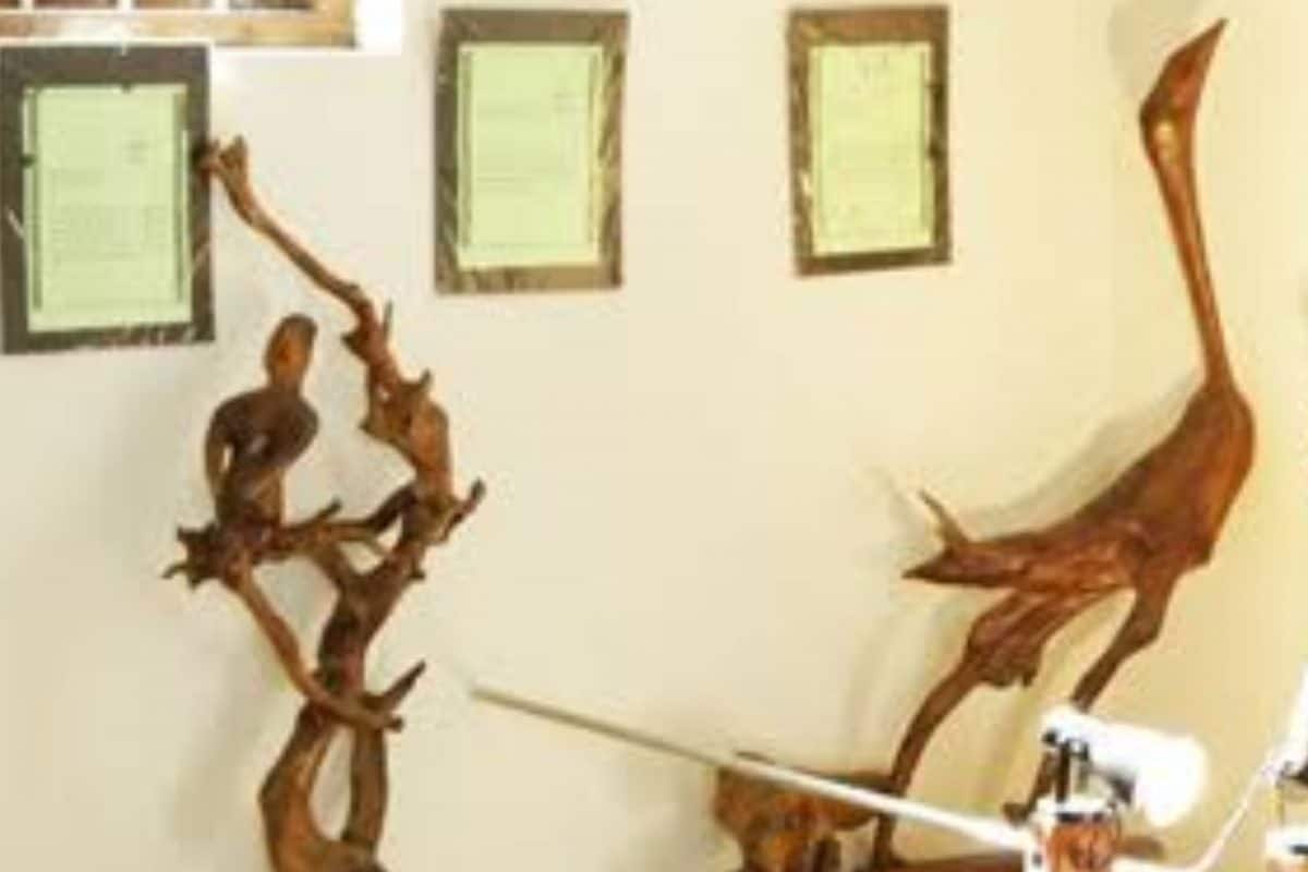 ഇന്ത്യയിലെ ആദ്യത്തെ"ഡ്രിഫ്റ്റ് വുഡ് "മ്യൂസിയം