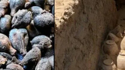 ഈജിപ്ത് രാജ്ഞിയുടെ ശവകുടീരത്തിൽ വൈൻ ഈജിപ്ത് രാജ്ഞിയുടെ ശവകുടീരത്തിൽ വൈൻ