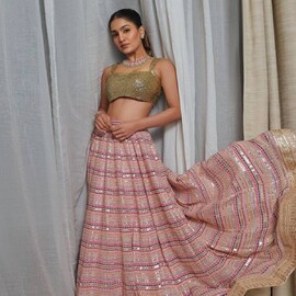 ഇത്രയും കടുത്ത തീരുമാനം വേണമായിരുന്നോ, സാനിയാ! മോഹിപ്പിക്കുന്ന അവസരത്തോട് ഗുഡ്ബൈ പറഞ്ഞ് സാനിയ അയ്യപ്പൻ