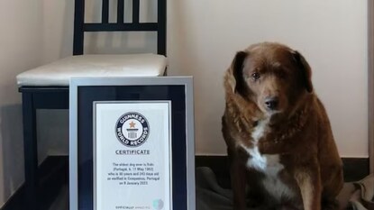 (Image: AP Photo) (Image: AP Photo)