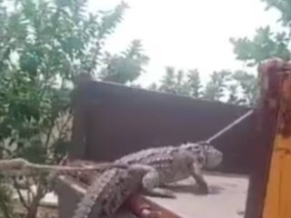 കർണാടക കർഷക പ്രതിഷേധം കർണാടക കർഷക പ്രതിഷേധം