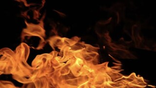 പ്രതീകാത്മക ചിത്രം
പ്രതീകാത്മക ചിത്രം