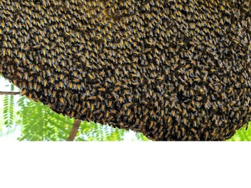 പ്രതീകാത്മക ചിത്രം