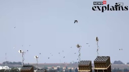 തെക്കൻ നഗരമായ സ്ഡെറോട്ടിലെ ഇസ്രായേലിന്റെ അയൺ ഡോം എയർ ഡിഫൻസ് സിസ്റ്റം ബാറ്ററികൾക്ക് മുകളിലൂടെ പക്ഷികൾ പറക്കുന്നു. (കടപ്പാട്: AFP) തെക്കൻ നഗരമായ സ്ഡെറോട്ടിലെ ഇസ്രായേലിന്റെ അയൺ ഡോം എയർ ഡിഫൻസ് സിസ്റ്റം ബാറ്ററികൾക്ക് മുകളിലൂടെ പക്ഷികൾ പറക്കുന്നു. (കടപ്പാട്: AFP)