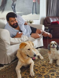 Mohanlal | ഒടുവിൽ കാസ്പറും വിസ്കിയും ലാലേട്ടനൊപ്പം പോസ് ചെയ്യാൻ സമ്മതിച്ചു Mohanlal | ഒടുവിൽ കാസ്പറും വിസ്കിയും ലാലേട്ടനൊപ്പം പോസ് ചെയ്യാൻ സമ്മതിച്ചു