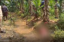കൃഷിയിടത്തിൽ പതിമൂന്നുകാരൻ മരിച്ച നിലയിൽ; മരണം കാട്ടുപന്നിയെ തുരത്താൻ സ്ഥാപിച്ച വൈദ്യുതി വേലിയിൽ നിന്ന് ഷോക്കേറ്റ്
