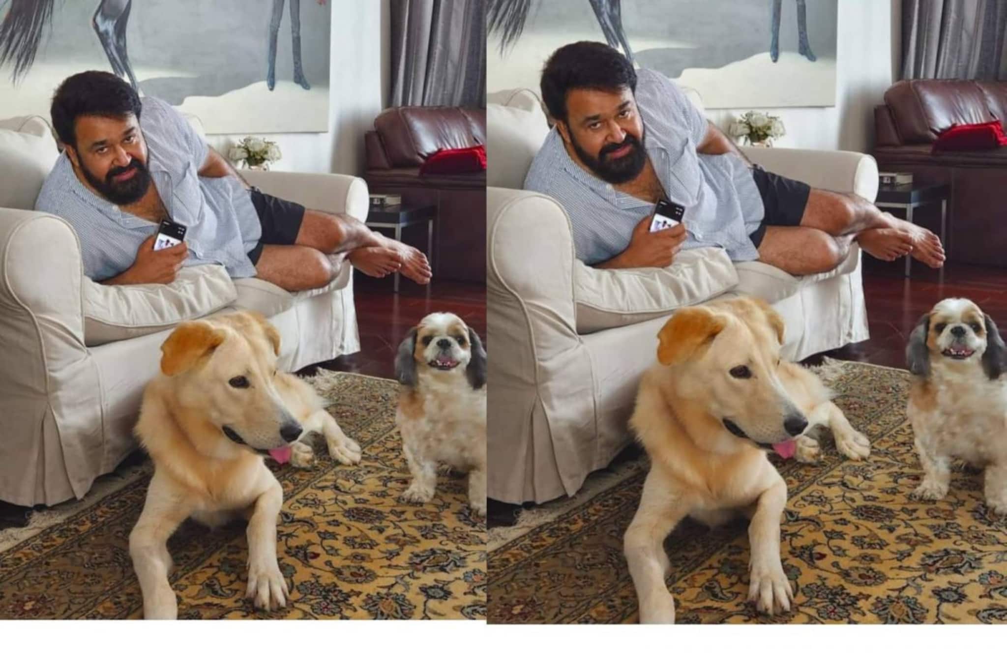 Mohanlal | ഒടുവിൽ കാസ്‌പറും വിസ്‌കിയും ലാലേട്ടനൊപ്പം പോസ് ചെയ്യാൻ സമ്മതിച്ചു