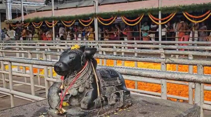  ദുര്‍ഗാഷ്ടമി നാളായ ഇന്ന് പ്രത്യേക പൂജകള്‍ ക്ഷേത്രത്തില്‍ നടന്നു. മഹാനവമി ദിനമായ നാളെ നടക്കുന്ന പുഷ്പ രഥോത്സവത്തിന്‌‍റെ അവസാനവട്ട ഒരുക്കത്തിലാണ് മൂകാംബിക ക്ഷേത്രവും പരിസരവും