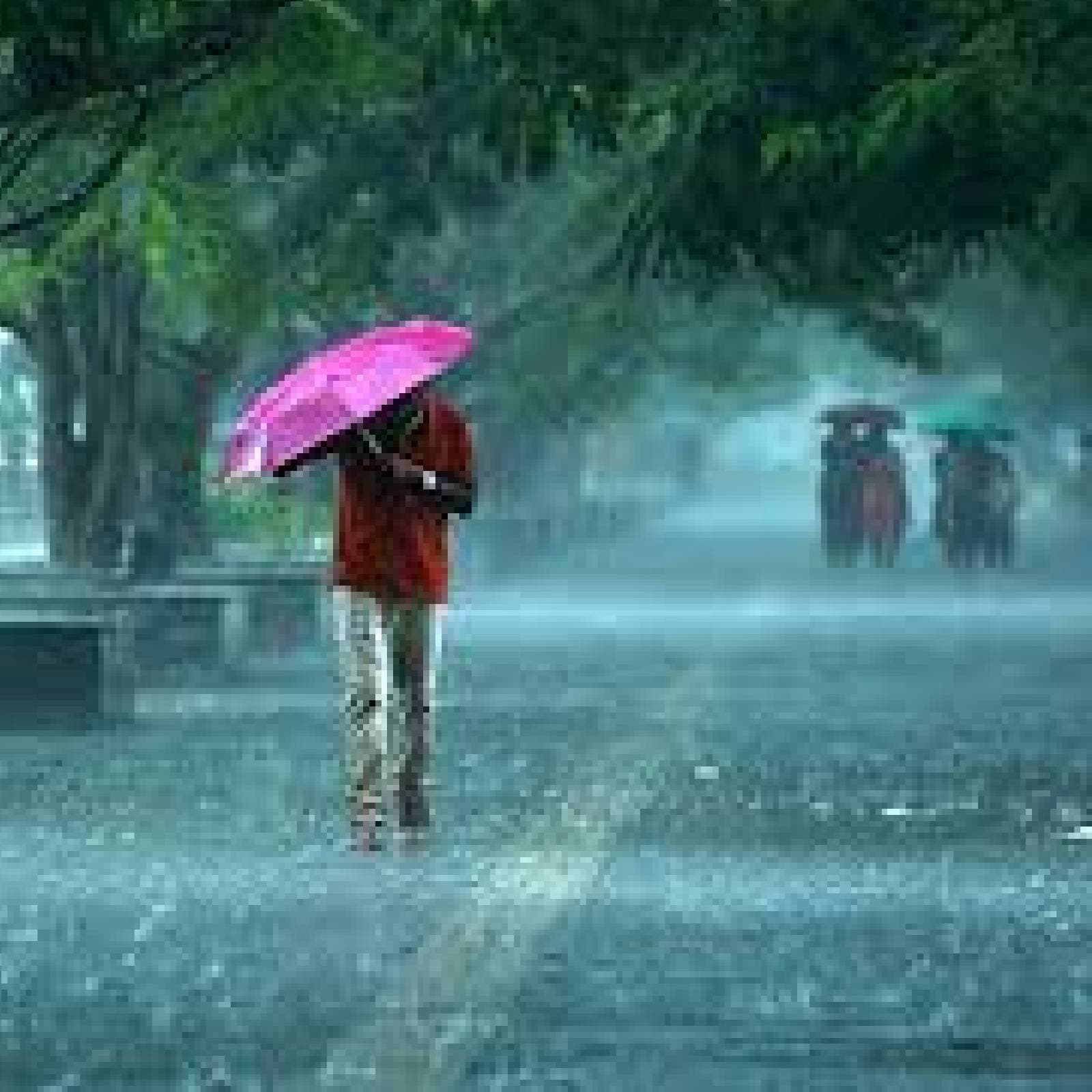 rain