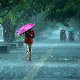 Kerala Weather Update | ഞായർ, തിങ്കൾ ദിവസങ്ങളിൽ ശക്തമായ മഴയ്ക്ക് സാധ്യത; 4 ജില്ലകളിൽ യെല്ലോ അലർട്ട്