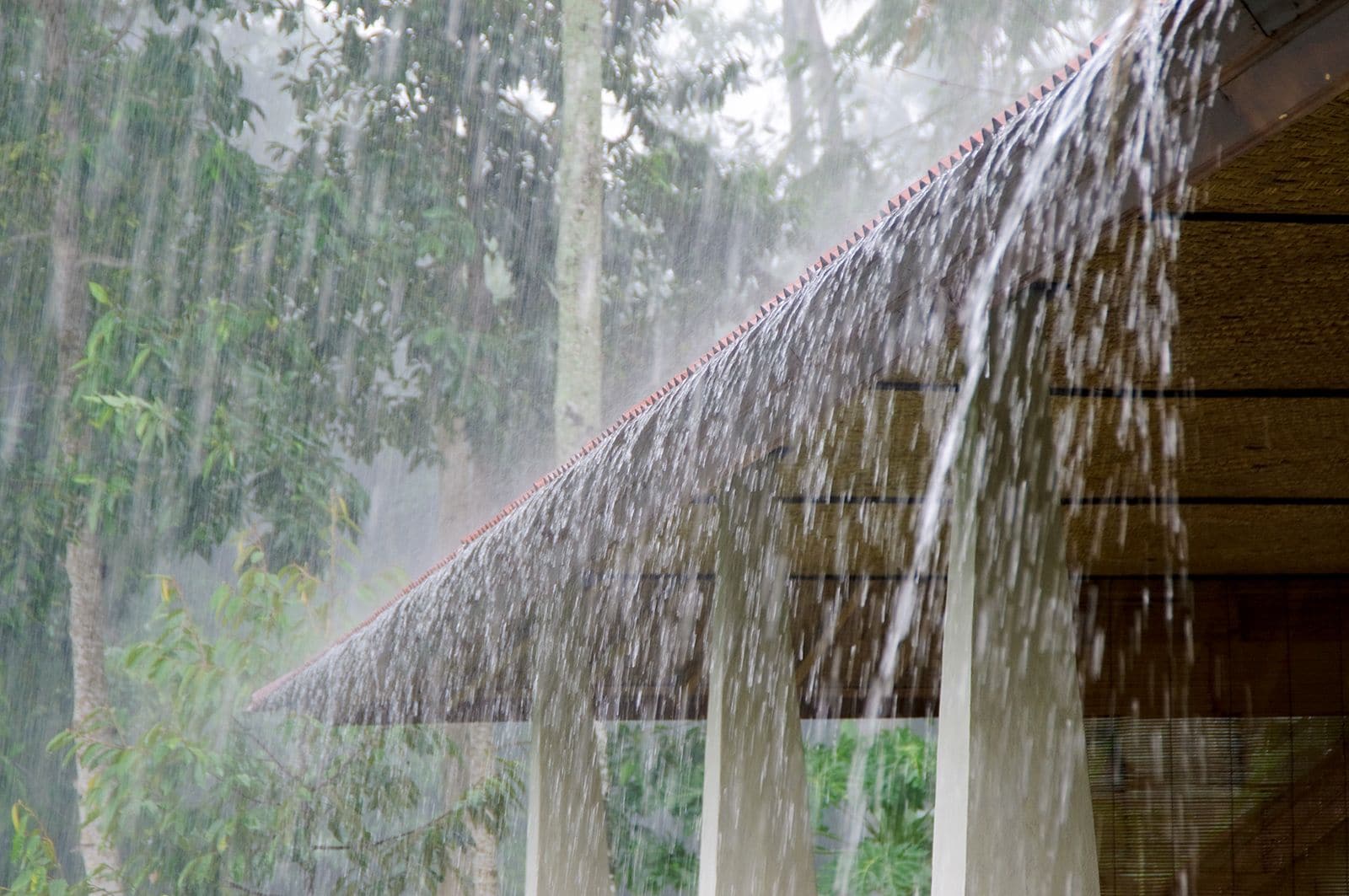 kerala rain, rain alert, Rain in Kerala, Orange Alert, Rain, Heavy Rain, Heavy Rain I n kerala,