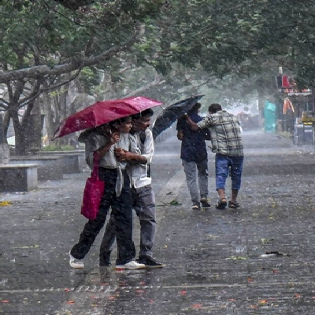  ഞായറാഴ്ച വയനാട്, കണ്ണൂര്‍, കാസര്‍കോട് ജില്ലകളിൽ യെല്ലോ അലർട്ട് ആയിരിക്കും. തിങ്കളാഴ്ച മലപ്പുറം, വയനാട്, കണ്ണൂര്‍ ജില്ലകളിലാണ് യെല്ലോ അലര്‍ട്ട് പ്രഖ്യാപിച്ചത്. ഒറ്റപ്പെട്ട ശക്തമായ മഴയ്ക്കുള്ള സാധ്യതയാണ് പ്രവചിക്കപ്പെട്ടിരിക്കുന്നത്. 24 മണിക്കൂറില്‍ 64.5 മില്ലിമീറ്റര്‍ മുതല്‍ 115.5 മില്ലിമീറ്റര്‍ വരെ മഴ ലഭിക്കുമെന്നാണ് പ്രവചനം.