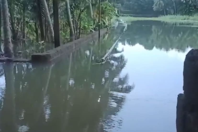  പല്ലാറിലെ ബന്ധുവീട്ടിൽ വിരുന്നിനെത്തിയതായിരുന്നു മുസമ്മിൽ. ബന്ധുവീടിന്റെ സമീപത്തുകൂടെ ഒഴുകുന്ന വാലില്ലാപ്പുഴയിലേക്ക് കുട്ടി കാൽതെന്നി വീഴുകയായിരുന്നു.