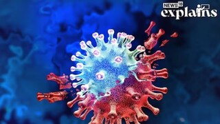 Covid Variant JN.1 Covid Variant JN.1