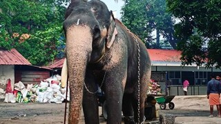 കടപ്പാട്: ഫേസ്ബുക്ക്