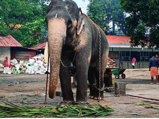 കടപ്പാട്: ഫേസ്ബുക്ക്