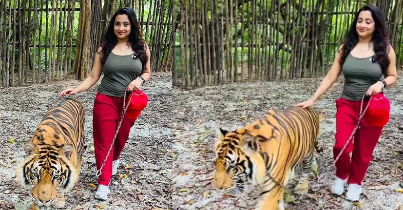  ‘‘എന്തൊരു അനുഭവമായിരുന്നു. ശ്വാസമിടിപ്പ് നിയന്ത്രിച്ചുകൊണ്ട് ഒരു കടുവയ്ക്കൊപ്പം ഇത്രയും കംഫർട്ട് ആയി നടക്കാൻ കഴിയുമെന്ന് ഒരിക്കലും ചിന്തിച്ചിരുന്നില്ല. ഹാഷിമിന് നന്ദി. നിങ്ങളുെട പ്രചോദനമില്ലെങ്കില്‍ ഇത് സാധ്യമാകുമായിരുന്നില്ല –പൂജിത കുറിച്ചു.