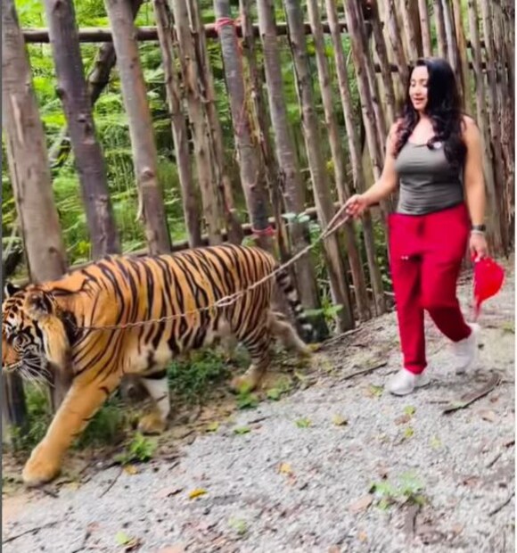  ‘ക്യാറ്റ് വോക് വിത്ത് ദ് ബിഗ് ക്യാറ്റ്’ എന്ന ക്യാപ്ഷനോടെ ഇന്‍സ്റ്റഗ്രാമിലാണ് പൂജിത വീഡിയോ പങ്കുവെച്ചിരിക്കുന്നത്.