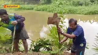 തിരുനെല്‍വേലിയിലെ കര്‍ഷകര്‍