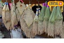 Diwali 2023 | വൈക്കോൽ തോരണം; ഛത്തീസ്ഗഢിലെ ദീപാവലി ആഘോഷങ്ങളിലെ മുഖ്യ അലങ്കാരം