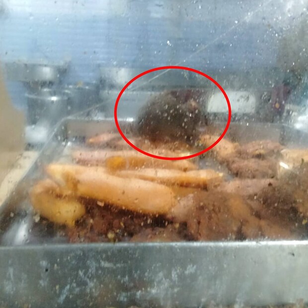 rat-food