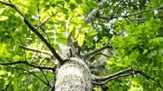 പ്രതീകാത്മക ചിത്രം