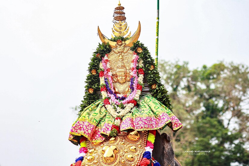  തേരോഴി രാമ കുറുപ്പിന്റെ പ്രമാണത്തിൽ അവതരിപ്പിക്കുന്ന പഞ്ചവാദ്യം, ജാഫ്ന ബാല മുരുകനും സംഘവും അവതരിപ്പിക്കുന്ന നാഗസ്വരം എന്നിവയും അഷ്ടമി ഉത്സവത്തിന്റെ ഭാഗമായി നടക്കും. (ചിത്രങ്ങള്‍: ആനന്ദ് നാരായണന്‍)