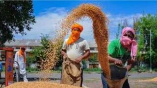 (പ്രതീകാത്മക ചിത്രം)