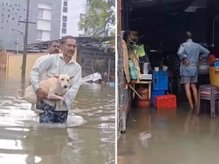 ചെന്നൈ മഴ