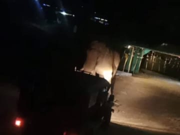 പടയപ്പ