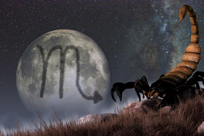 സ്‌കോര്&#x200d;പിയോ (Scorpio വൃശ്ചിക രാശി) ഒക്ടോബര്&#x200d; 24നും നവംബര്&#x200d; 21നും ഇടയില്&#x200d; ജനിച്ചവര്&#x200d;: ആഴ്ചയുടെ തുടക്കത്തില്&#x200d;, വൃശ്ചികം രാശിക്കാര്&#x200d; എന്തെങ്കിലും കാര്യങ്ങളില്&#x200d; അല്&#x200d;പം ആശങ്കാകുലരായിരിക്കുമെന്ന് വാരഫലത്തില്&#x200d; പറയുന്നു. വൃശ്ചിക രാശിയിലെ ജീവനക്കാരിലും വിദ്യാര്&#x200d;ത്ഥികളിലും ഇതിന്റെ സ്വാധീനം കൂടുതലായി കാണാം. ആഴ്ചയുടെ തുടക്കത്തില്&#x200d;, ജോലിസ്ഥലത്ത് നിങ്ങളുടെ സീനിയര്&#x200d;മാരില്&#x200d; നിന്നും ജൂനിയര്&#x200d;മാരില്&#x200d; നിന്നും നിങ്ങള്&#x200d;ക്ക് പ്രതീക്ഷിക്കുന്ന പിന്തുണ ലഭിക്കില്ല. അത്തരമൊരു സാഹചര്യത്തില്&#x200d; നിങ്ങളുടെ ജോലി പൂര്&#x200d;ത്തിയാക്കാന്&#x200d; നിങ്ങള്&#x200d; കൂടുതല്&#x200d; കഠിനാധ്വാനവും പരിശ്രമവും നടത്തേണ്ടിവരും. ആഴ്ചയുടെ മധ്യത്തില്&#x200d;, കുട്ടികളുമായി ബന്ധപ്പെട്ട ഏത് പ്രശ്നവും നിങ്ങളെ വിഷമിപ്പിക്കും. എന്നാല്&#x200d; കുടുംബാംഗങ്ങളുടെ സഹായത്തോടെ, ആത്യന്തികമായി നിങ്ങള്&#x200d;ക്ക് ഇതിന് പരിഹാരം കാണാന്&#x200d; കഴിയും. ഈ സമയം നിങ്ങള്&#x200d;ക്ക് ബിസിനസ്സിന് അനുകൂലമായിരിക്കില്ല. അത്തരമൊരു സാഹചര്യത്തില്&#x200d;, ഈ കാലയളവില്&#x200d;, ബിസിനസ് സംബന്ധമായ ഏത് തീരുമാനവും ശ്രദ്ധാപൂര്&#x200d;വ്വം എടുക്കുക. ഈ കാലയളവില്&#x200d;, കഠിനാധ്വാനം നടത്തിയാല്&#x200d; മാത്രമെ ബിസിനസ് സംബന്ധമായ പദ്ധതികള്&#x200d; വിജയിക്കുകയുള്ളൂ. ഒരു പ്രണയ ബന്ധത്തിലെ ഏത് പ്രശ്നവും പരിഹരിക്കാന്&#x200d; ആശയവിനിമയത്തിന്റെ സഹായം സ്വീകരിക്കുക.ഭാഗ്യ നിറം: ക്രീം
ഭാഗ്യ സംഖ്യ: 7