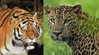 പ്രതീകാത്മക ചിത്രം