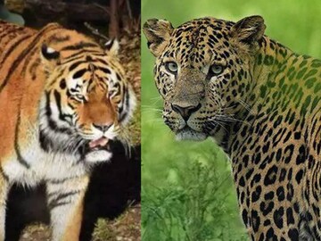 പ്രതീകാത്മക ചിത്രം