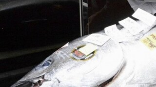 representative image representative image