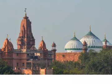  (Image: PTI)