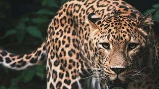 പ്രതീകാത്മക ചിത്രം