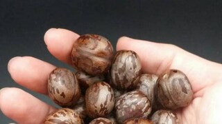 റബർകുരു