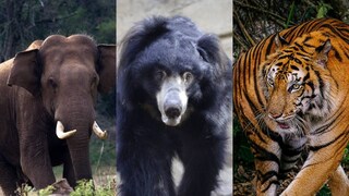 പ്രതീകാത്മകചിത്രം