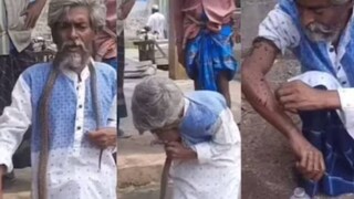 cobra-bite cobra-bite