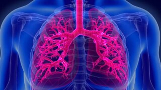 (പ്രതീകാത്മക ചിത്രം) (പ്രതീകാത്മക ചിത്രം)