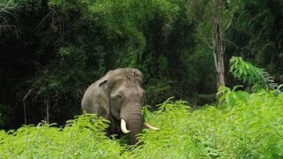 പ്രതീകാത്മക ചിത്രം