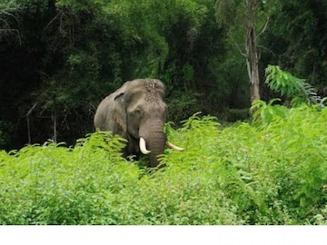 പ്രതീകാത്മക ചിത്രം