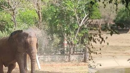 (പ്രതീകാത്മക ചിത്രം) (പ്രതീകാത്മക ചിത്രം)