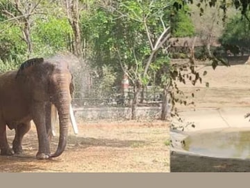 (പ്രതീകാത്മക ചിത്രം)
