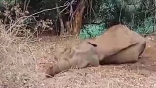 ഫയൽ ചിത്രം