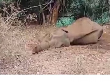 ഫയൽ ചിത്രം